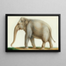 An Indian elephant - Nicolas Huet the Younger — framed artwork on a wall
