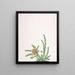 Un Stapelia variegata - Nicolas Robert — framed artwork on a wall