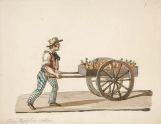 The pineapple seller - Nicolino Calyo — artwork view