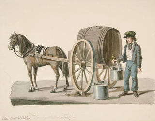 The spring water cart - Nicolino Calyo — artwork view