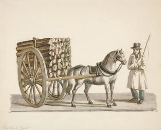The Wooden Cart - Nicolino Calyo — artwork view