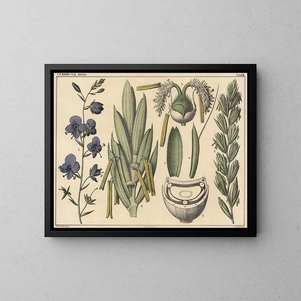 Racèmes et épis - Niels Skovgaard — framed artwork on a wall