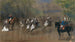 Parade - Nikolai Egorovich Sverchkov — artwork view