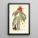 Alpinia comosa - Nikolaus Joseph Freiherr von Jacquin — framed artwork on a wall