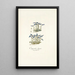 Campanula zoysii - Nikolaus Joseph Freiherr von Jacquin — framed artwork on a wall