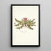 Carduus acaulis - Nikolaus Joseph Freiherr von Jacquin — framed artwork on a wall