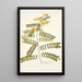 Cassia crista - Nikolaus Joseph Freiherr von Jacquin — framed artwork on a wall