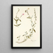 Cistus mutabilis - Nikolaus Joseph Freiherr von Jacquin — framed artwork on a wall