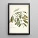 Conyza carolinensis - Nikolaus Joseph Freiherr von Jacquin — framed artwork on a wall