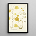 Cynanchum extensum - Nikolaus Joseph Freiherr von Jacquin — framed artwork on a wall