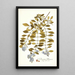 Duranta plumieri - Nikolaus Joseph Freiherr von Jacquin — framed artwork on a wall