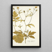 Geum aleppicum - Nikolaus Joseph Freiherr von Jacquin — framed artwork on a wall
