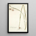 Gladiolus angustus - Nikolaus Joseph Freiherr von Jacquin — framed artwork on a wall