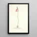 Gladiolus brevifolius - Nikolaus Joseph Freiherr von Jacquin — framed artwork on a wall