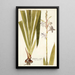 Gladiolus iridifolius - Nikolaus Joseph Freiherr von Jacquin — framed artwork on a wall