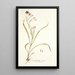 Gladiolus roseus - Nikolaus Joseph Freiherr von Jacquin — framed artwork on a wall
