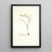 Gladiolus tenellus - Nikolaus Joseph Freiherr von Jacquin — framed artwork on a wall