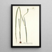 Gladiolus tristis - Nikolaus Joseph Freiherr von Jacquin — framed artwork on a wall