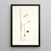 Gladiolus tristis prioris varietas - Nikolaus Joseph Freiherr von Jacquin — framed artwork on a wall