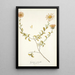 Gorteria asteroides - Nikolaus Joseph Freiherr von Jacquin — framed artwork on a wall
