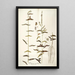 Hedysarum vespertilionis - Nikolaus Joseph Freiherr von Jacquin — framed artwork on a wall