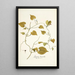 Ipomoea leucantha - Nikolaus Joseph Freiherr von Jacquin — framed artwork on a wall