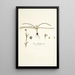Ixia bulbocodium - Nikolaus Joseph Freiherr von Jacquin — framed artwork on a wall