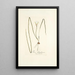 Ixia chloroleuca - Nikolaus Joseph Freiherr von Jacquin — framed artwork on a wall