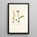 Ixia corymbosa - Nikolaus Joseph Freiherr von Jacquin — framed artwork on a wall