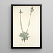 Lavandula pinnata - Nikolaus Joseph Freiherr von Jacquin — framed artwork on a wall