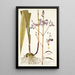 Limodorum tuberosum - Nikolaus Joseph Freiherr von Jacquin — framed artwork on a wall