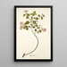 Malva balsamica - Nikolaus Joseph Freiherr von Jacquin — framed artwork on a wall