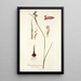 Melanthium junceum - Nikolaus Joseph Freiherr von Jacquin — framed artwork on a wall