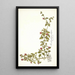 Mesembryanthemum cordifolium - Nikolaus Joseph Freiherr von Jacquin — framed artwork on a wall