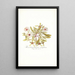 Mesembryanthemum cuneifolium - Nikolaus Joseph Freiherr von Jacquin — framed artwork on a wall