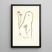 Moraea vegeta - Nikolaus Joseph Freiherr von Jacquin — framed artwork on a wall