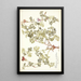 Pelargonium caucalifolium - Nikolaus Joseph Freiherr von Jacquin — framed artwork on a wall