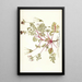 Pelargonium coriandrifolium - Nikolaus Joseph Freiherr von Jacquin — framed artwork on a wall