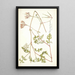 Pelargonium longicaule - Nikolaus Joseph Freiherr von Jacquin — framed artwork on a wall
