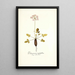 Pelargonium triphyllum - Nikolaus Joseph Freiherr von Jacquin — framed artwork on a wall