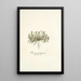 Plantago patagonica - Nikolaus Joseph Freiherr von Jacquin — framed artwork on a wall