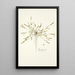 Poa peruviana - Nikolaus Joseph Freiherr von Jacquin — framed artwork on a wall