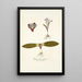 Polyanthes pygmaea - Nikolaus Joseph Freiherr von Jacquin — framed artwork on a wall