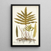 Polypodium phymatodes - Nikolaus Joseph Freiherr von Jacquin — framed artwork on a wall