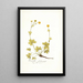 Potentilla salisburgensis - Nikolaus Joseph Freiherr von Jacquin — framed artwork on a wall