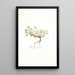 Potentilla subacaulis - Nikolaus Joseph Freiherr von Jacquin — framed artwork on a wall