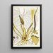 Pothos grandifolia - Nikolaus Joseph Freiherr von Jacquin — framed artwork on a wall