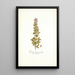 Psoralea bipedunculata - Nikolaus Joseph Freiherr von Jacquin — framed artwork on a wall