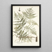 Pteris caudata - Nikolaus Joseph Freiherr von Jacquin — framed artwork on a wall