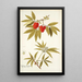 Sambucus racemosa - Nikolaus Joseph Freiherr von Jacquin — framed artwork on a wall